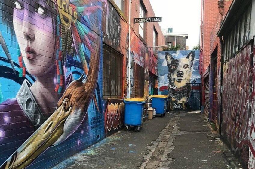 3.5 Hours Group tour Melbourne trouble-makers tour