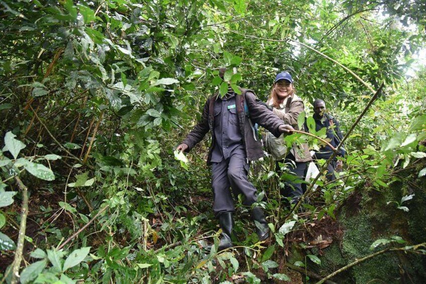3-Day Bwindi National Park including Gorilla Tracking