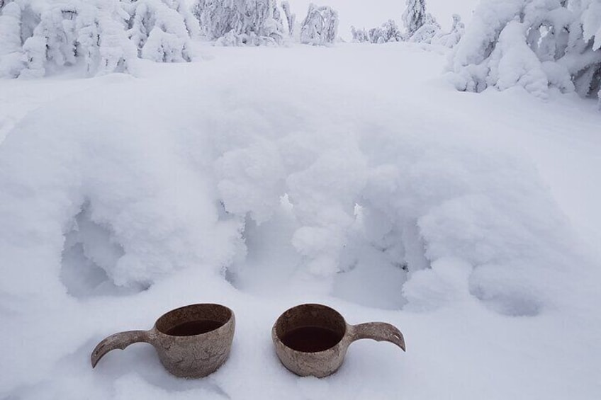 Guided reindeer farm visit and one hour sledge safari