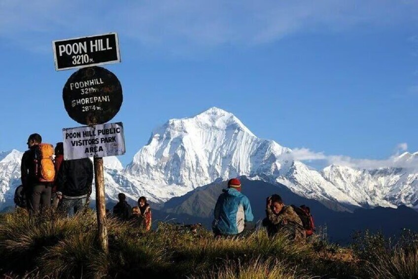 Scenic Adventure: Group Joining 2-Day Poon Hill Trek Tour