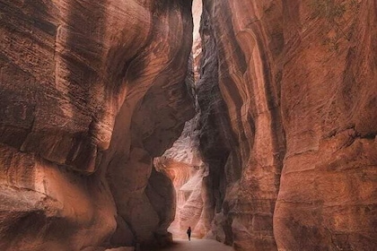 Full-Day Tour to Petra