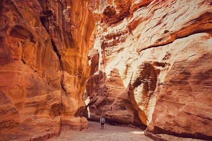 Full-Day Tour to Petra