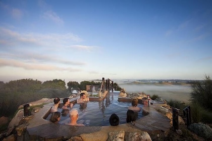 Full day - Peninsula Hot Springs & Bathing Boxes