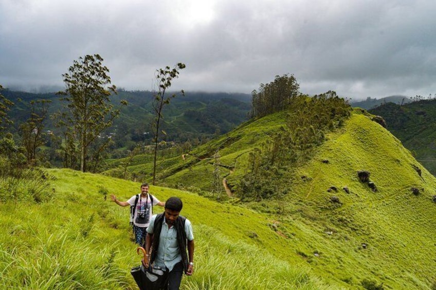 Full-Day Private Tour to Munnar from Kochi with Lunch