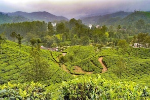 7 Days Best of Kerala Nature Tour Backwaters & Beaches