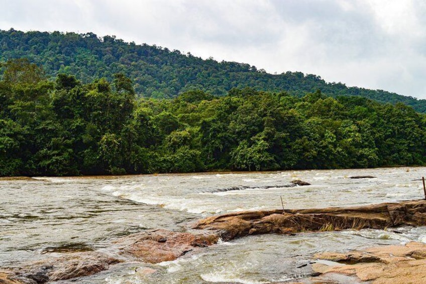 One day trip to Athirapally waterfall and Cherai beach to Kochi.