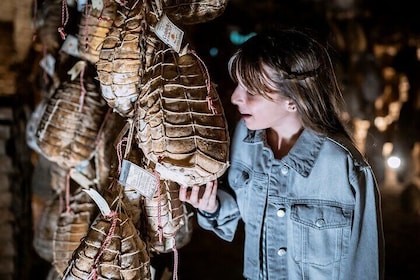 Zibello 私人旅游的 Culatello 午餐和农场参观