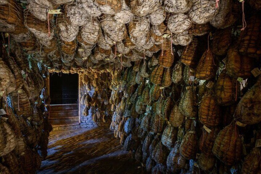 Parma Lowlands Private Tour with Farm Visit | Culatello of Zibello PDO | Artemilia Guided Tours 