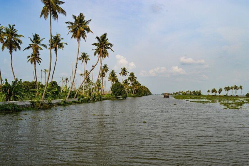 Alleppey Houseboat Day Trip from Kochi.