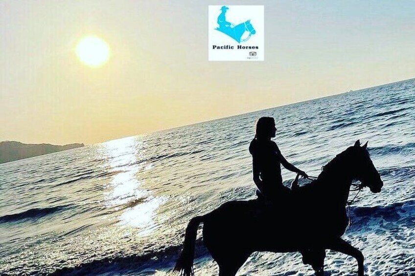 1,5 Hours Private Horseback Riding Tour in Playa Conchal