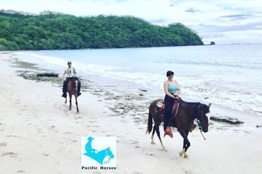 1,5 Hours Private Horseback Riding Tour in Playa Conchal