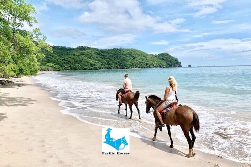 1,5 Hours Private Horseback Riding Tour in Playa Conchal