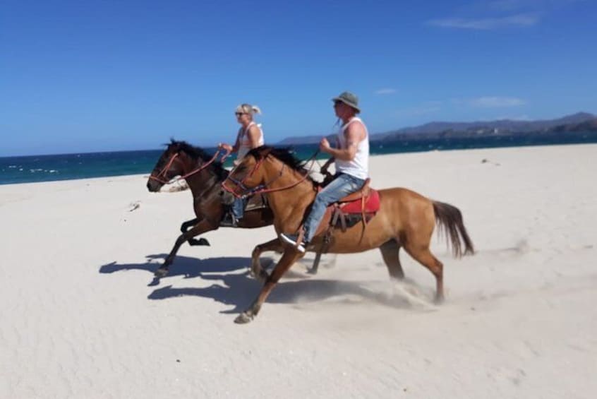 2 Hours Private Horseback Riding Tour in Playa Conchal