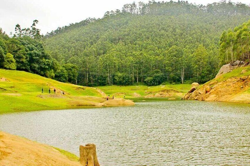 Overnight Munnar from Kochi