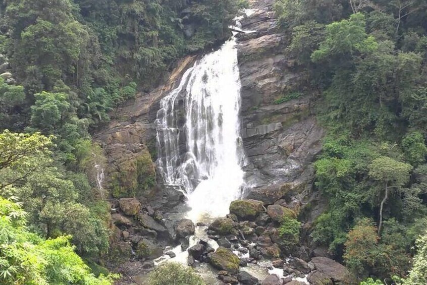 Overnight Munnar from Kochi