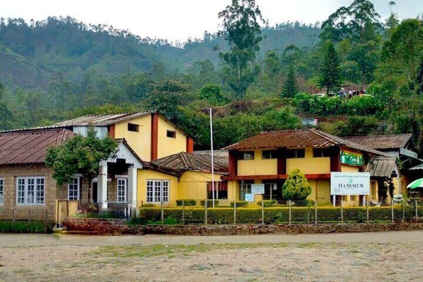 Overnight Munnar from Kochi