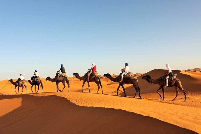 Merzouga Desert