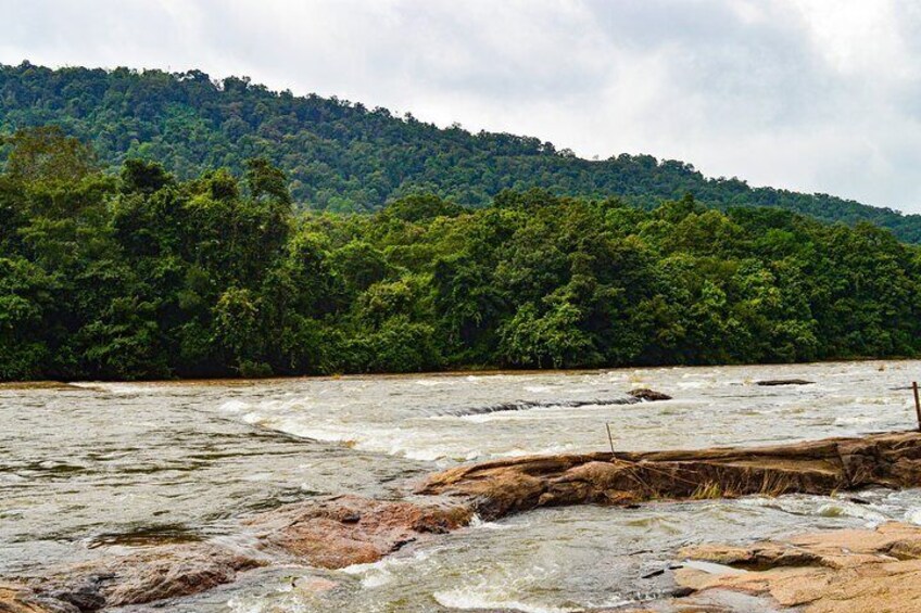 One day trip to Athirapally from Kochi.
