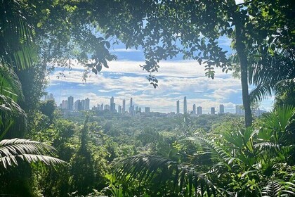 The Panama City: Hike & Sights Private Tour