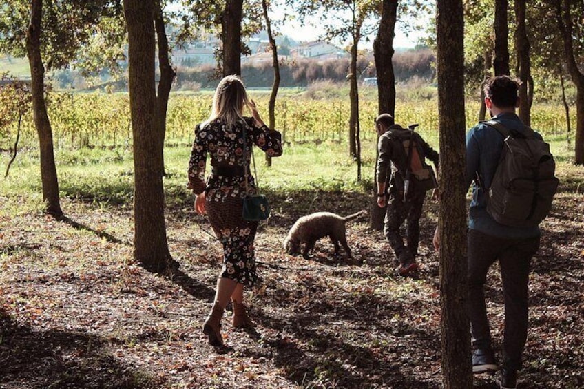 Tuscany: Truffle Hunting with Gourmet Truffle Lunch in a Winery of San Gimignano