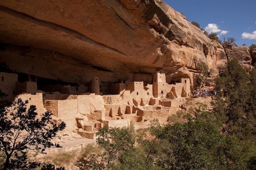 Cliff Palace - Mesa Verde's Largest Site