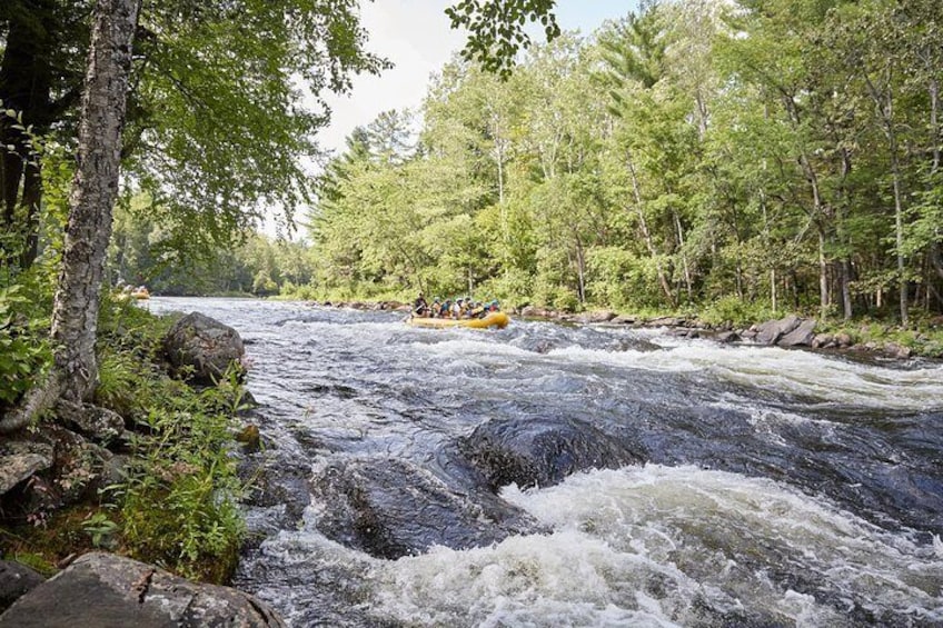 Adventure Rafting on the Madawaska River