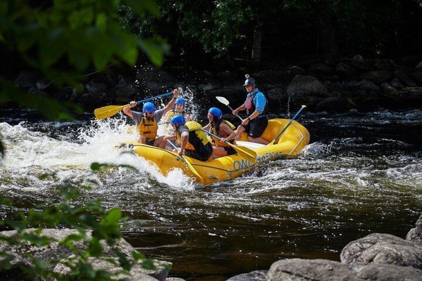 Everyone has a paddle in Adventure Rafting on the Madawaska!