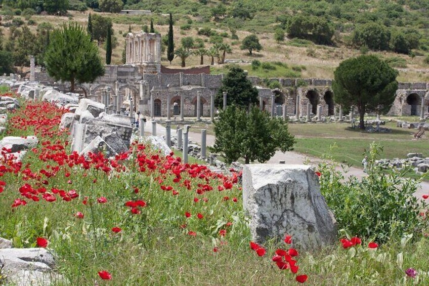 EPHESUS PRIVATE & SMALL GROUP TOUR for CRUISERS /ENTRY FEES/LUNCH