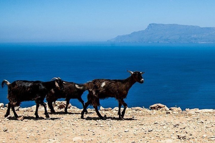 On the way to Balos lagoon