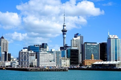 Auckland City Highlights Experience