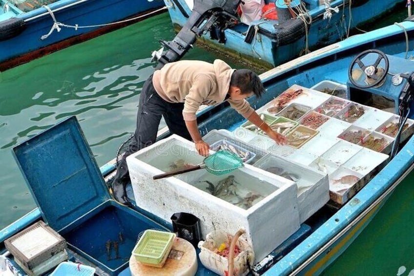 Lantau Island Day Trip - Big Buddha & Tai O (2022) | 1k+ booked 