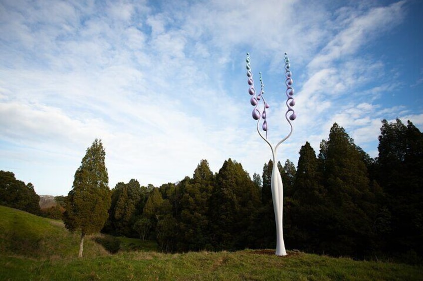 Matakana Art & Vineyard Experience