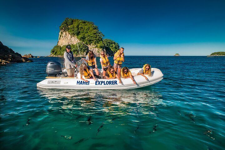 Coromandel Peninsula Discovery - Private Tour From Auckland