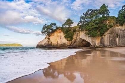 Coromandel Peninsula Discovery - Private Tour From Auckland