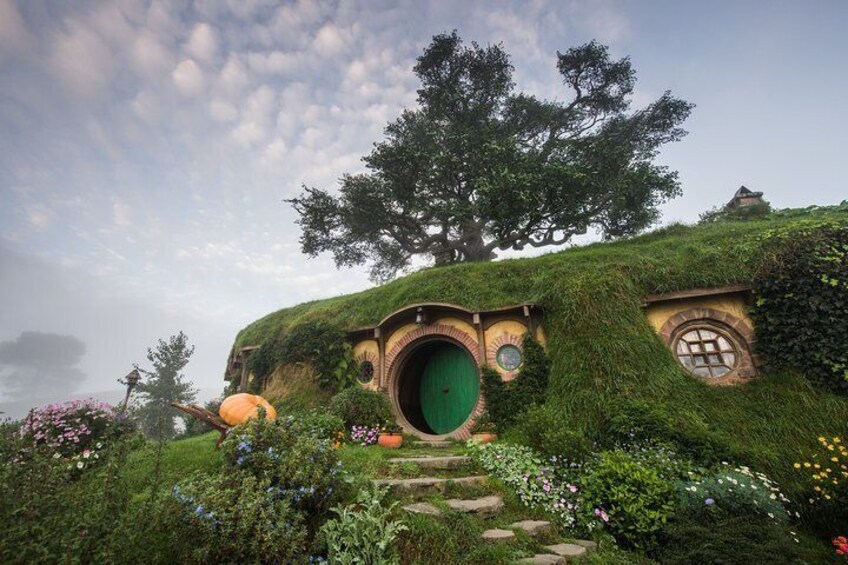 Hobbiton Movie Set Private Tour