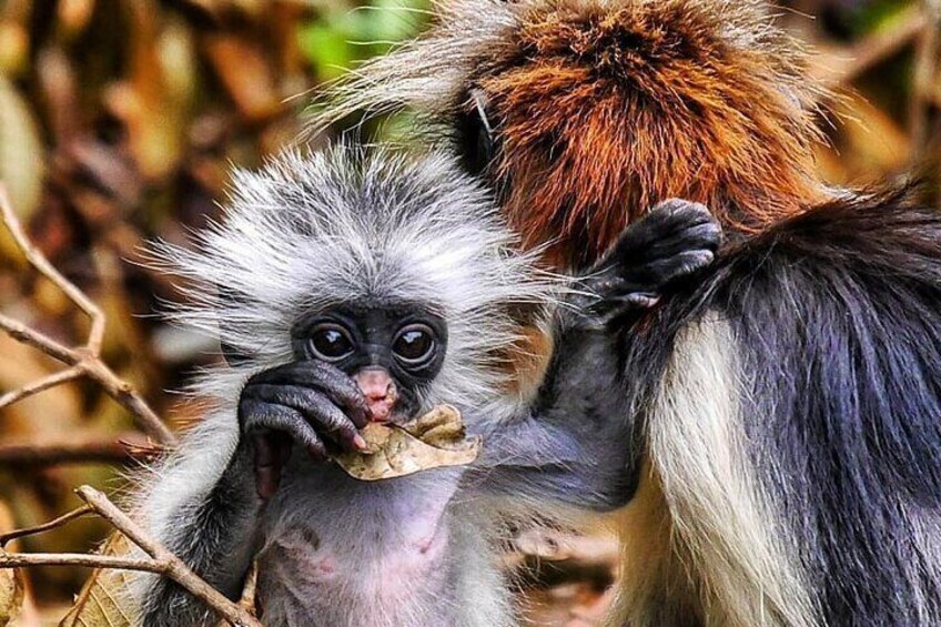 www.africabeyond.co.tz