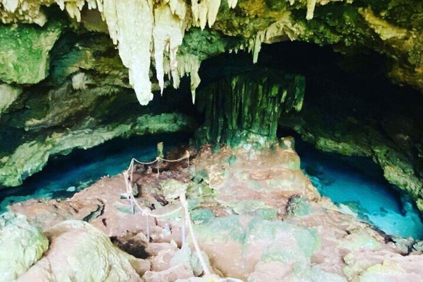 Dolphin Tour; Kuza Cave Tour; Paje Beach; The Rock Restaurant; Jozani Forest