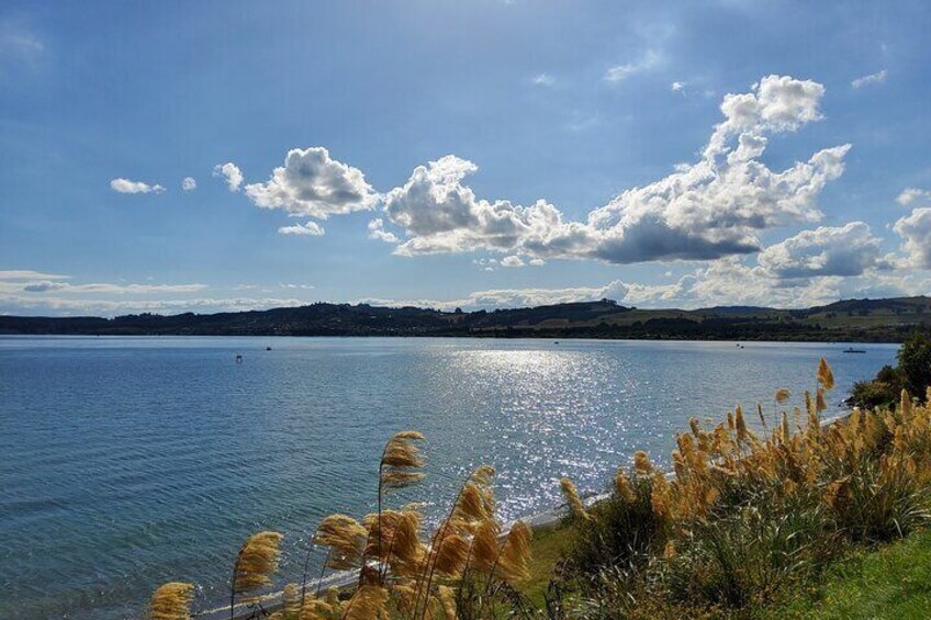 Lake Taupō Private Day Tour from Auckland to Māori Rock Carvings