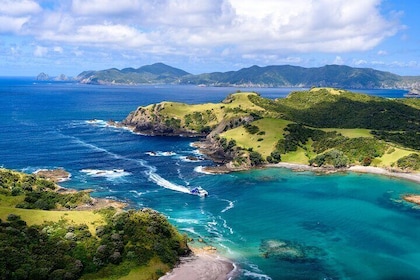 Experiencia de descubrimiento de Bay of Islands desde Auckland incl. Crucer...