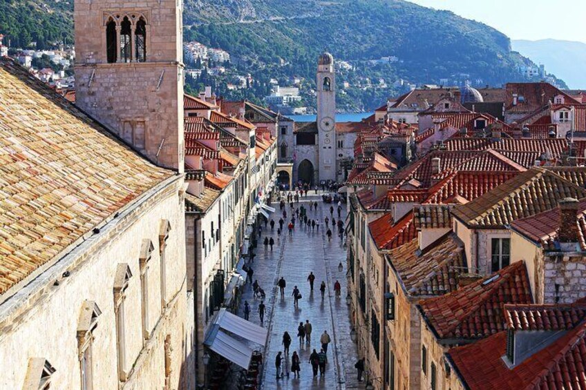 Private Panorama and Dubrovnik City Tour