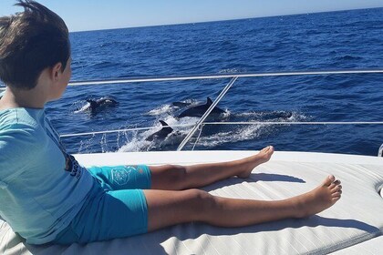 Dolphin watching in Marbella