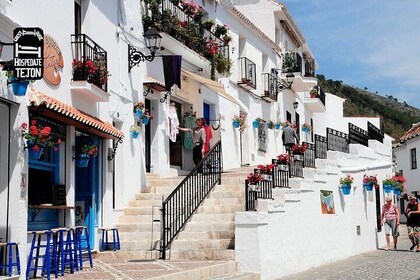 Malaga privat kystudflugt: Malaga Highlights & Mijas White Washed Village