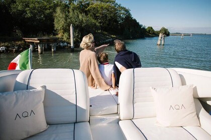 Venice: Luxury Cruise in Venice Lagoon