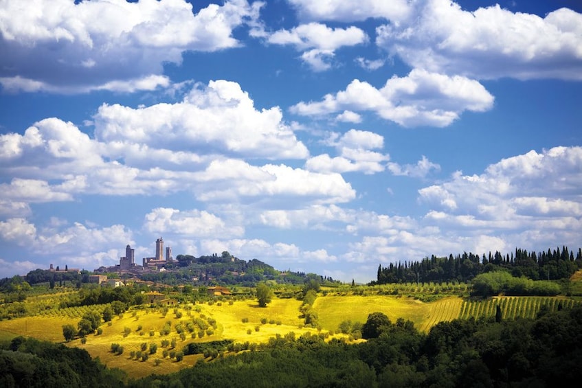 Full-Day Tour of San Gimignano, Siena & Chianti