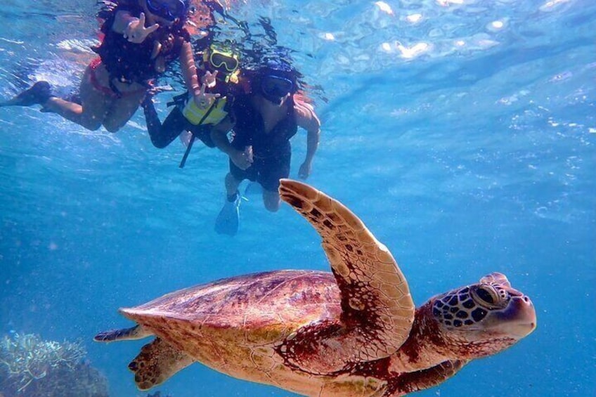 [Okinawa Miyako] Swim in the shining sea! Sea turtle Snorkeling