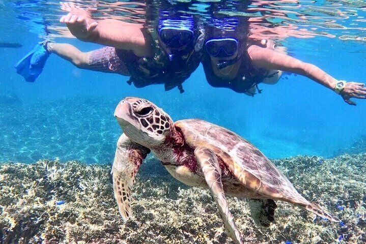 Okinawa Miyakojima 1 day Sea Turtle Snorkeling & Pumpkin Cave & Sea Kayak