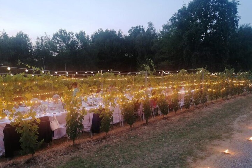 Tasting in the cellar