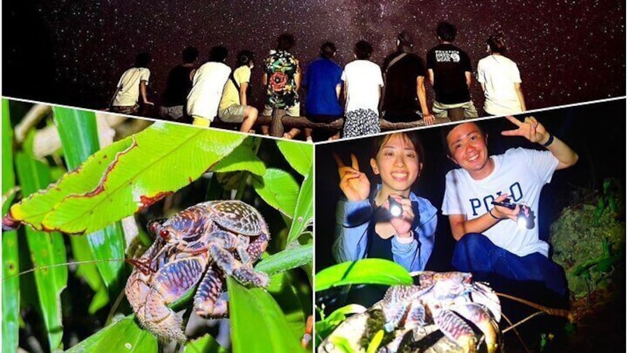 Okinawa Miyako Star gazing and subtropical jungle night tour