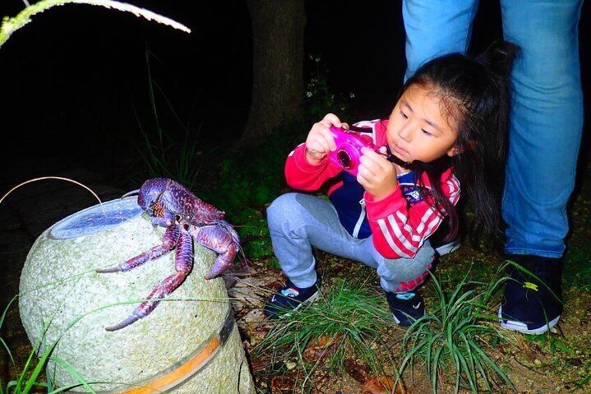 [Okinawa Miyako] Natural planetarium! Starry sky & subtropical jungle Night tour