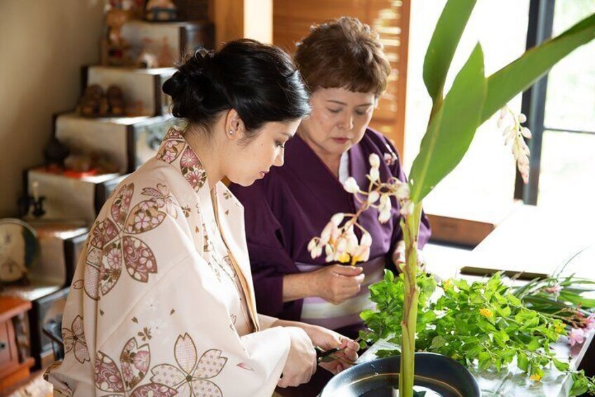 Experience Japanese culture "flower arrangement" in a Japanese-style room wearing a simple kimono